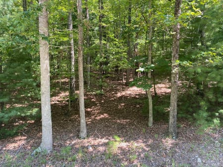 Blairsville, GA 30512 Union County