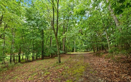 Buford, GA 30518 Gwinnett County