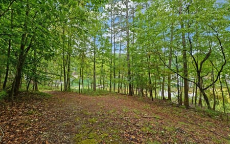 Buford, GA 30518 Gwinnett County