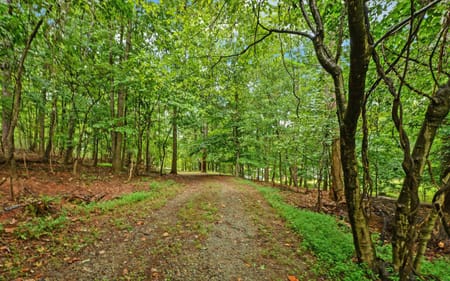 Buford, GA 30518 Gwinnett County