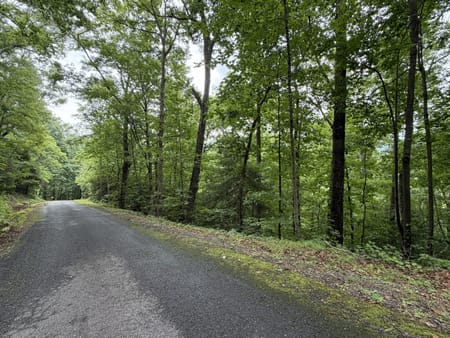 Hiawassee, GA 30546 Towns County
