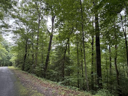 Hiawassee, GA 30546 Towns County
