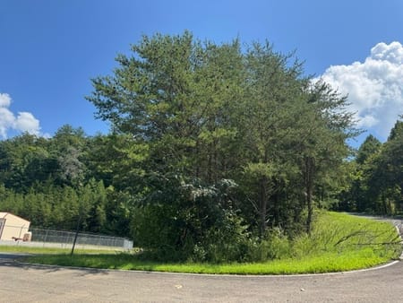 Ellijay, GA 30540 Gilmer County