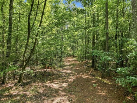 Elberton, GA 30635 Elbert County