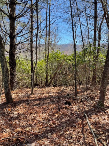 Blairsville, GA 30512 Union County
