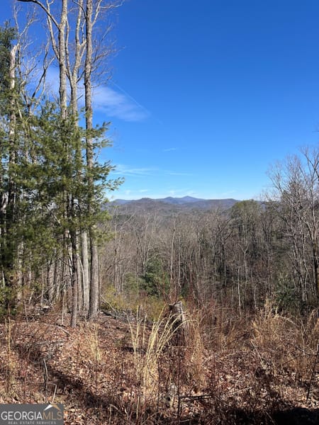 Tiger, GA 30576 Rabun County