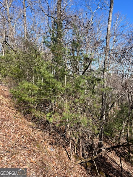 Tiger, GA 30576 Rabun County