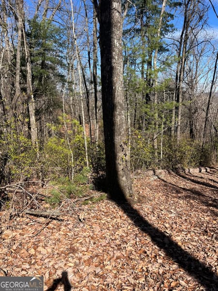 Tiger, GA 30576 Rabun County