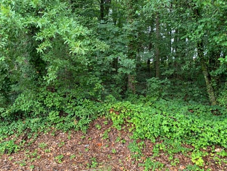 Toccoa, GA 30577 Stephens County