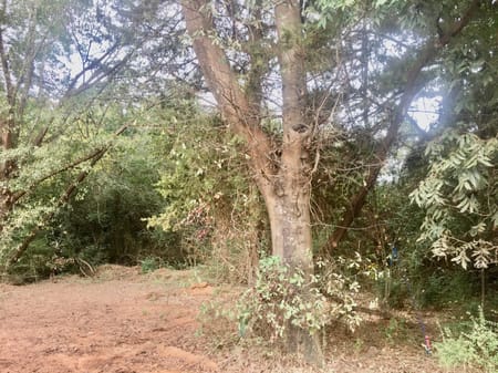 Toccoa, GA 30577 Stephens County