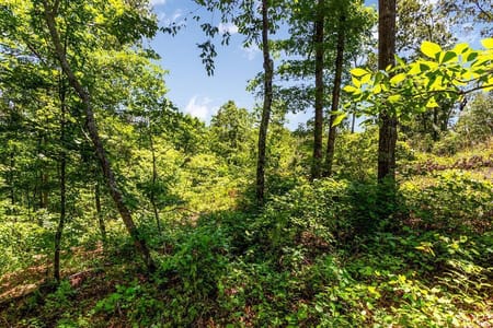 Talking Rock, GA 30175 Gilmer County