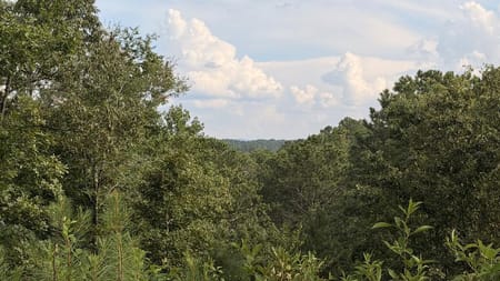 Talking Rock, GA 30175 Gilmer County