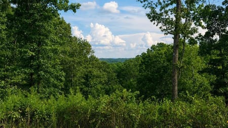 Talking Rock, GA 30175 Gilmer County