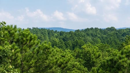 Talking Rock, GA 30175 Gilmer County