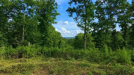 Talking Rock, GA 30175 Gilmer County