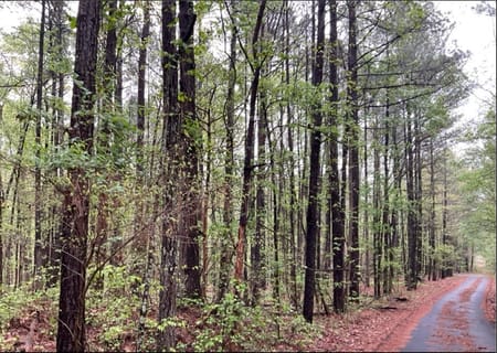 Colbert, GA 30628 Oglethorpe County