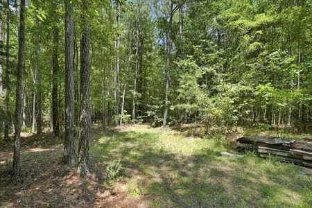 Elberton, GA 30635 Elbert County