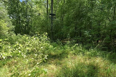 Elberton, GA 30635 Elbert County
