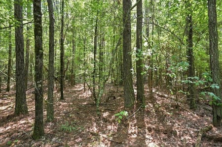 Elberton, GA 30635 Elbert County