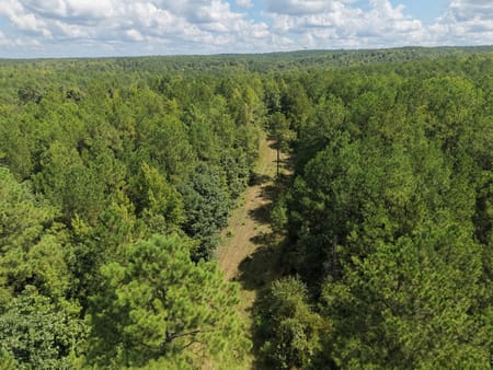 Milledgeville, GA 31061 Baldwin County