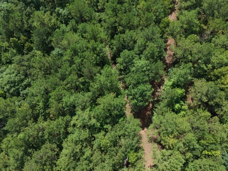 Milledgeville, GA 31061 Baldwin County