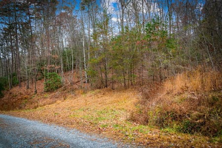 Blue Ridge, GA 30513 Fannin County