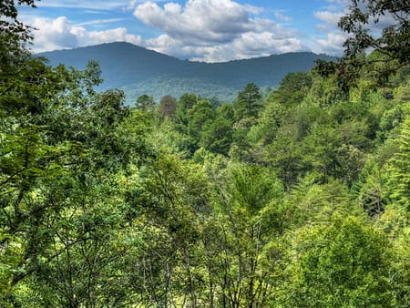 Cherry Log, GA 30522 Fannin County