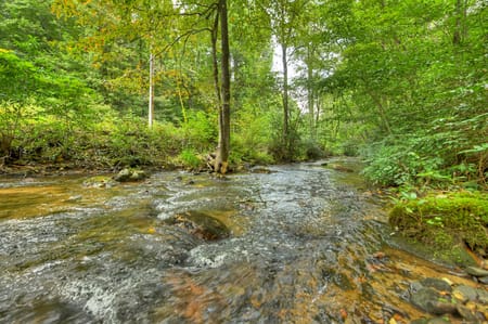 Cherry Log, GA 30522 Fannin County