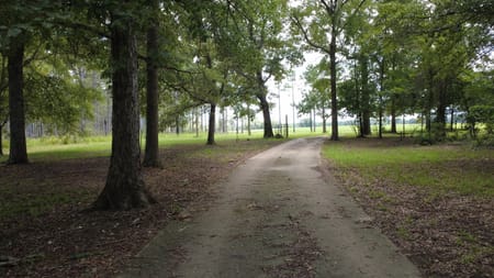 Vienna, GA 31092 Dooly County