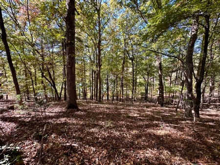 Cleveland, GA 30528 White County