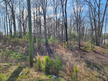 Douglasville, GA 30134 Douglas County