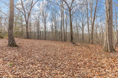 Dalton, GA 30720 Whitfield County