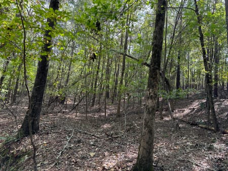 Tignall, GA 30668 Lincoln County