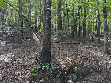 Tignall, GA 30668 Lincoln County