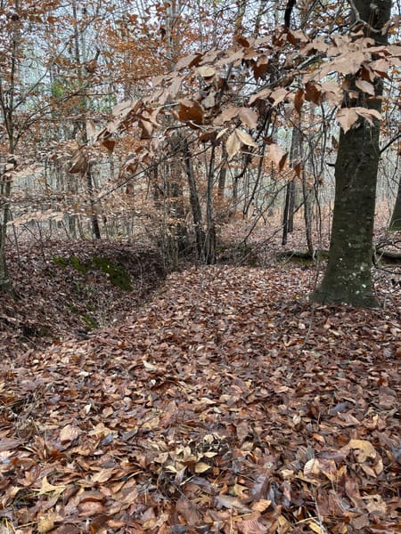 Tignall, GA 30668 Lincoln County