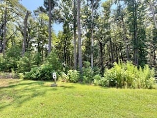 Sautee Nacoochee, GA 30571 White County