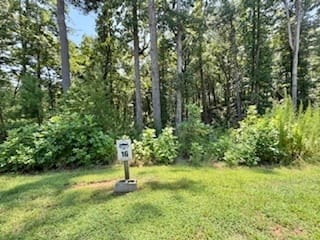 Sautee Nacoochee, GA 30571 White County