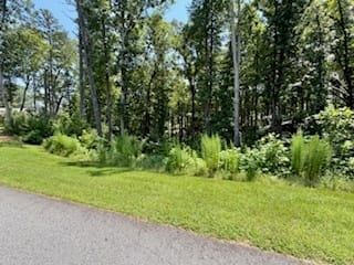 Sautee Nacoochee, GA 30571 White County
