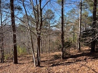 Blairsville, GA 30512 Union County