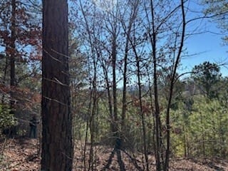 Blairsville, GA 30512 Union County