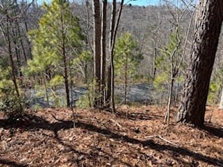 Blairsville, GA 30512 Union County