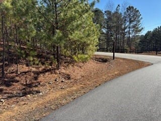 Blairsville, GA 30512 Union County