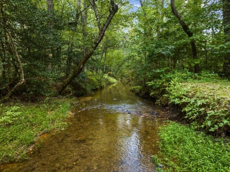 Blue Ridge, GA 30513 Fannin County