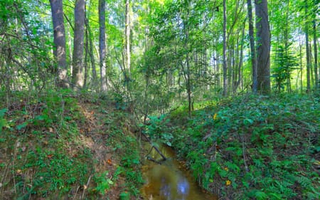 Loganville, GA 30052 Walton County