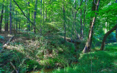 Loganville, GA 30052 Walton County
