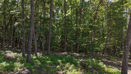 Clarkesville, GA 30523 Habersham County