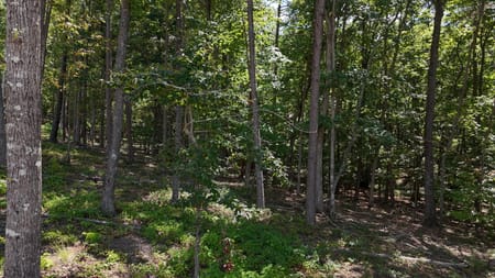 Clarkesville, GA 30523 Habersham County