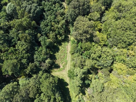Warthen, GA 31094 Washington County