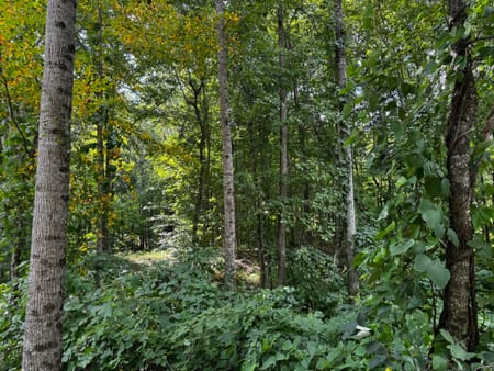 Clayton, GA 30525 Rabun County