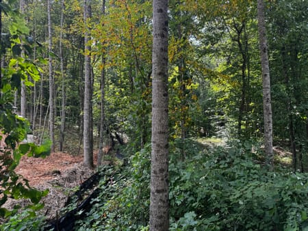Clayton, GA 30525 Rabun County